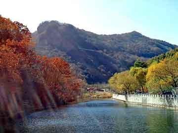 澳门天天好好免费资料，吴川seo程序